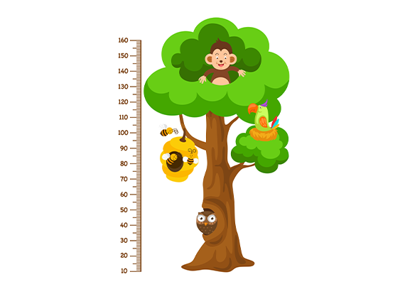 استیکر اندازه گیری قد طرح درخت و حیوانات