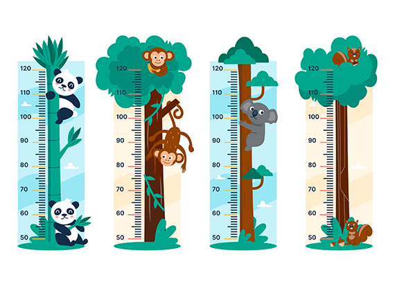استیکر اندازه گیری قد طرح حیوانات