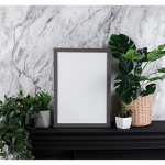 موکاپ قاب و گلدون