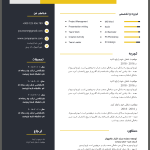 رزومه برای افزایش شانس استخدام