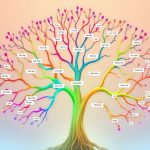 آموزش طراحی شجره نامه با استفاده از نرم‌افزارهای گرافیکی