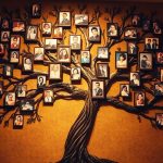 شجره نامه به عنوان یک منبع آموزشی برای نسل جوان
