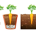 طرح‌ آماده برای ساخت کاردستی اجزای گیاه