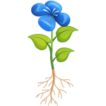 آموزشی اجزای گیاه با طراحی جذاب فرمت png